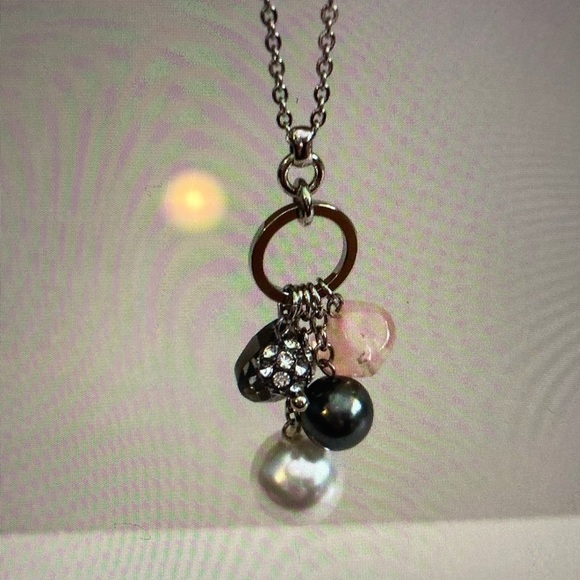 Ann Taylor Jewelry - NWT Ann Taylor Silver Long Charm Pendant Necklace